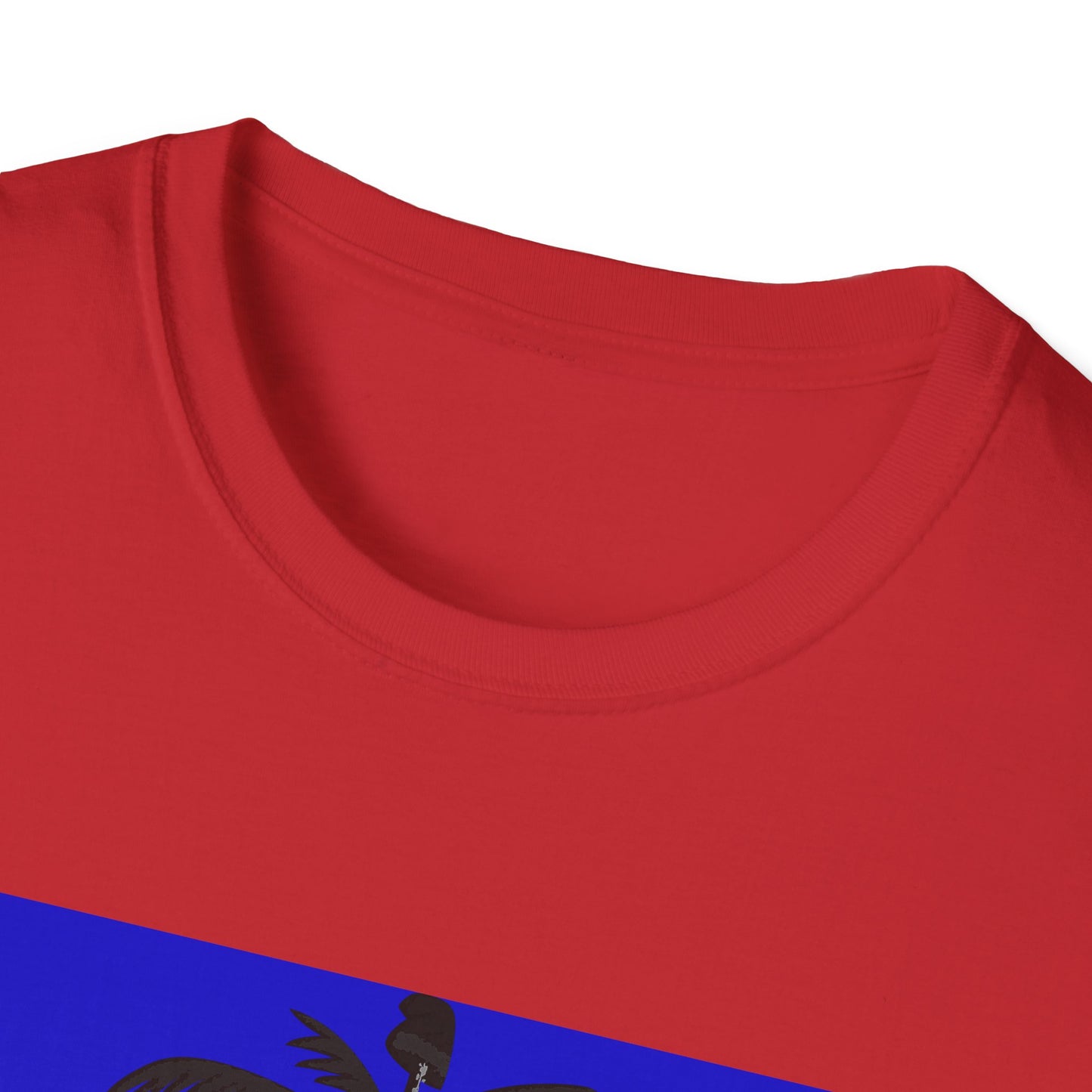 Haitian flag T-shirt with dark emblem