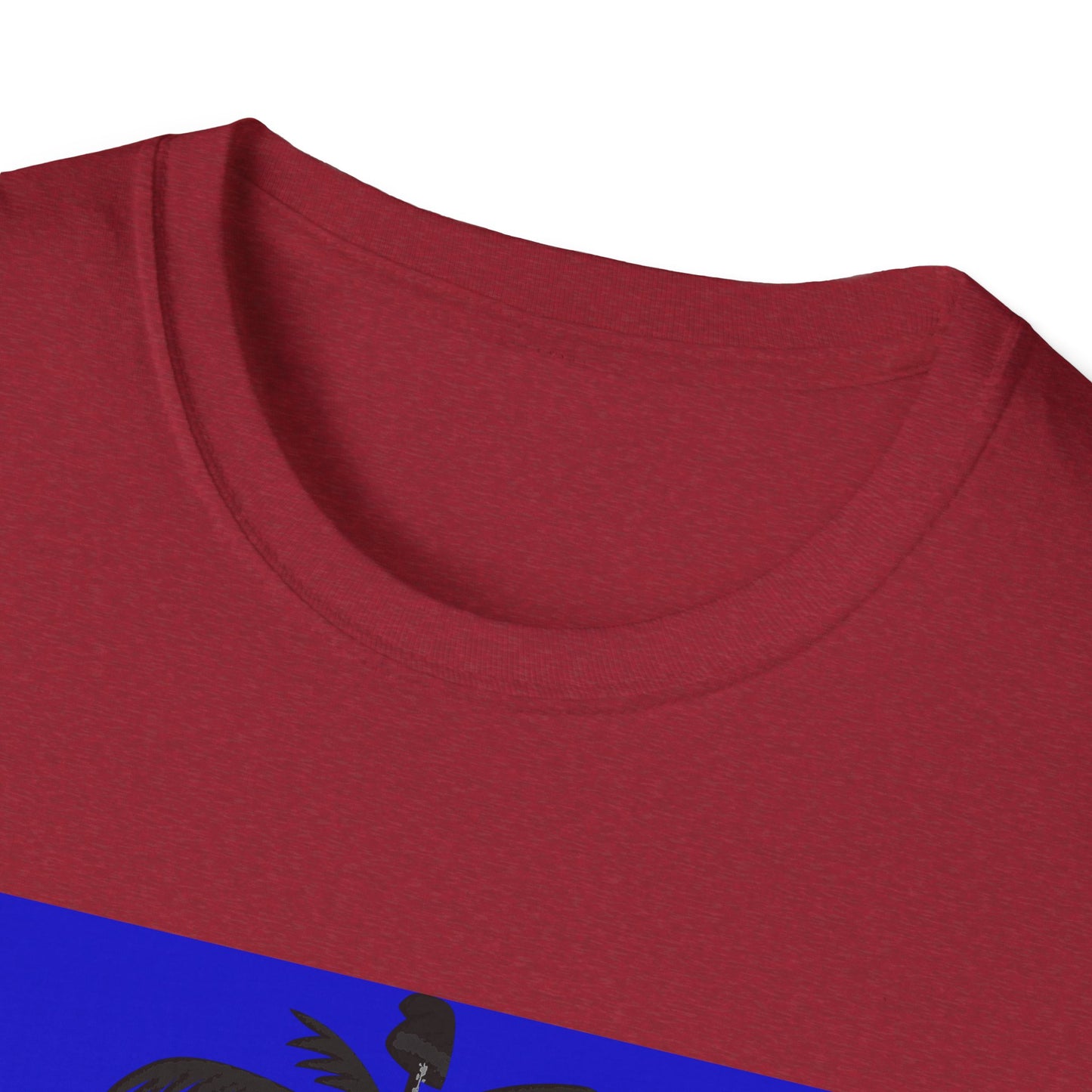 Haitian flag T-shirt with dark emblem