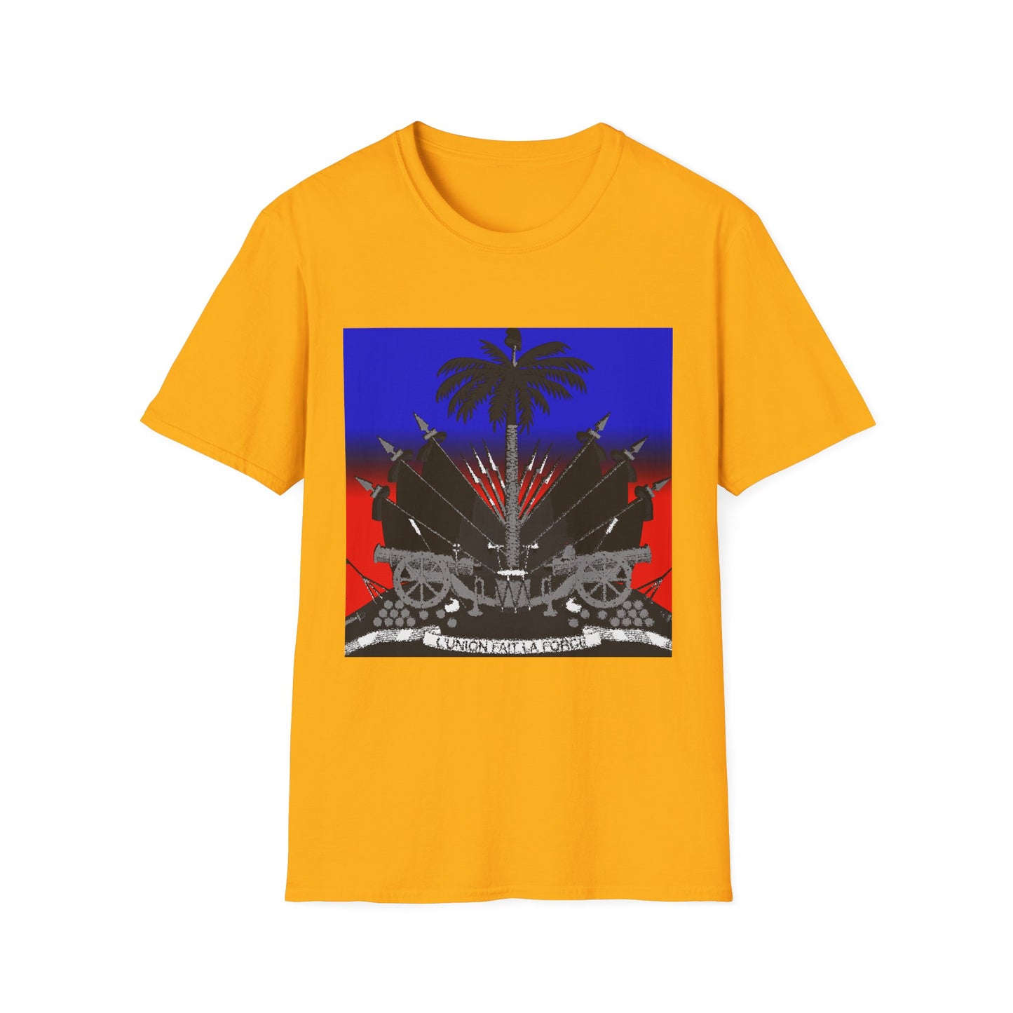 Haitian flag T-shirt with dark emblem