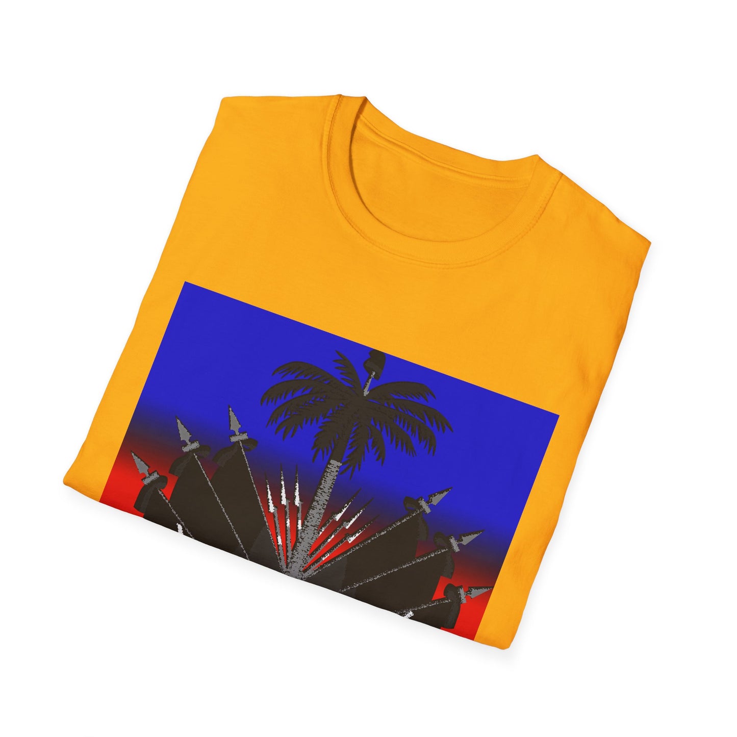 Haitian flag T-shirt with dark emblem